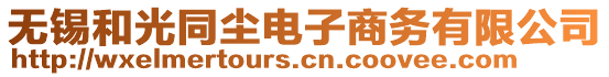 無錫和光同塵電子商務有限公司