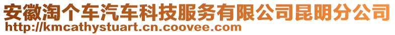 安徽淘個(gè)車汽車科技服務(wù)有限公司昆明分公司