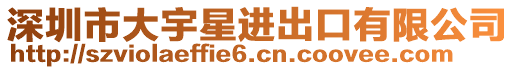 深圳市大宇星進出口有限公司