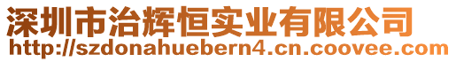 深圳市治輝恒實業有限公司