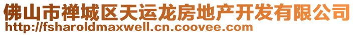 佛山市禪城區(qū)天運龍房地產開發(fā)有限公司