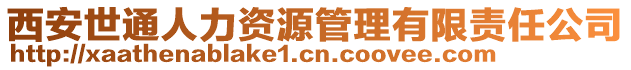 西安世通人力資源管理有限責任公司