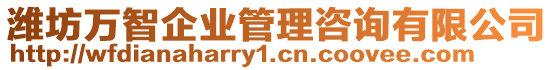 濰坊萬智企業管理咨詢有限公司