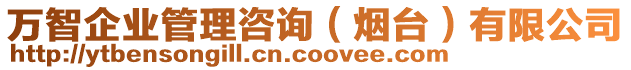 萬(wàn)智企業(yè)管理咨詢(xún)（煙臺(tái)）有限公司