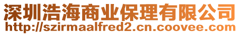 深圳浩海商業(yè)保理有限公司