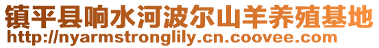 镇平县响水河波尔山羊养殖基地