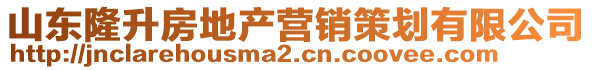 山東隆升房地產營銷策劃有限公司