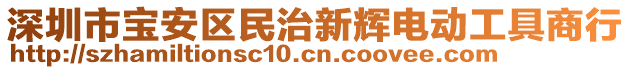深圳市寶安區(qū)民治新輝電動工具商行