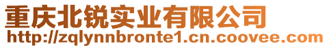 重慶北銳實業有限公司
