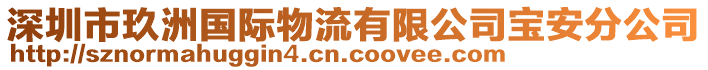 深圳市玖洲國際物流有限公司寶安分公司