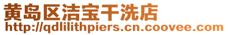 黃島區(qū)潔寶干洗店