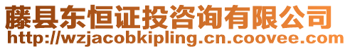 藤縣東恒證投咨詢有限公司
