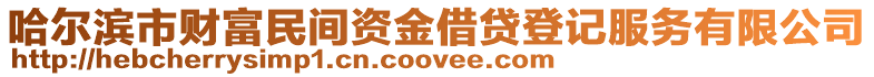 哈爾濱市財(cái)富民間資金借貸登記服務(wù)有限公司