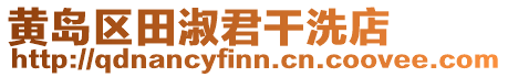 黃島區(qū)田淑君干洗店