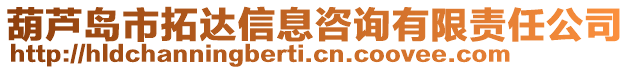 葫蘆島市拓達信息咨詢有限責任公司