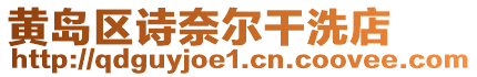 黃島區詩奈爾干洗店