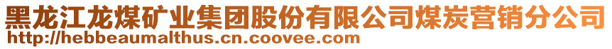 黑龍江龍煤礦業集團股份有限公司煤炭營銷分公司