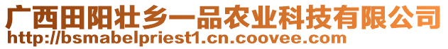 廣西田陽壯鄉(xiāng)一品農(nóng)業(yè)科技有限公司