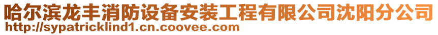 哈爾濱龍豐消防設備安裝工程有限公司沈陽分公司