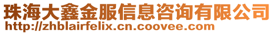 珠海大鑫金服信息咨询有限公司