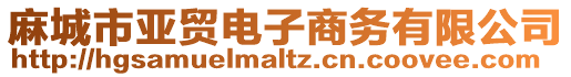 麻城市亞貿(mào)電子商務(wù)有限公司