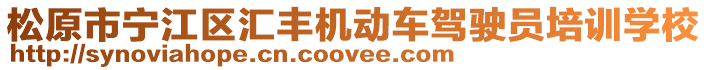 松原市寧江區(qū)匯豐機動車駕駛員培訓學校