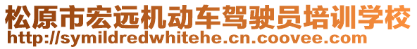 松原市宏遠(yuǎn)機(jī)動(dòng)車駕駛員培訓(xùn)學(xué)校