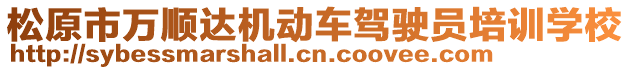 松原市萬順達(dá)機(jī)動(dòng)車駕駛員培訓(xùn)學(xué)校