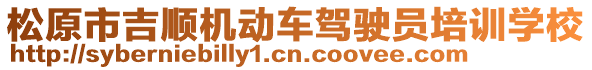 松原市吉順機(jī)動(dòng)車(chē)駕駛員培訓(xùn)學(xué)校