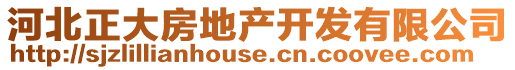 河北正大房地產(chǎn)開發(fā)有限公司