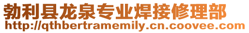 勃利縣龍泉專業焊接修理部