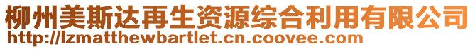 柳州美斯達再生資源綜合利用有限公司