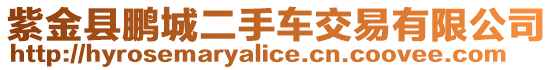 紫金縣鵬城二手車交易有限公司