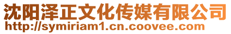 沈陽澤正文化傳媒有限公司