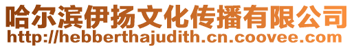 哈爾濱伊揚(yáng)文化傳播有限公司