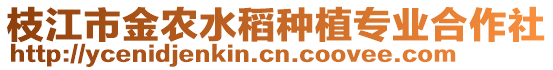 枝江市金農水稻種植專業合作社