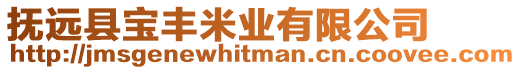 撫遠縣寶豐米業有限公司
