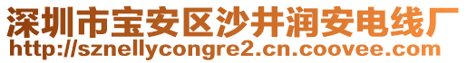 深圳市寶安區(qū)沙井潤安電線廠