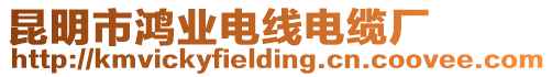 昆明市鴻業電線電纜廠