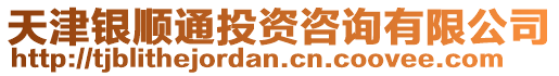 天津銀順通投資咨詢有限公司