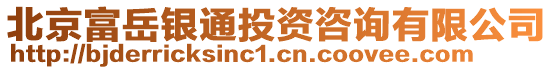 北京富岳銀通投資咨詢有限公司