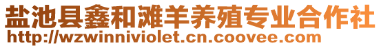 盐池县鑫和滩羊养殖专业合作社