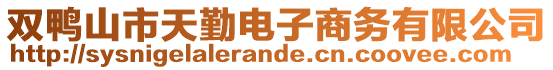 雙鴨山市天勤電子商務(wù)有限公司