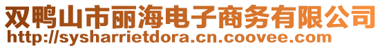 雙鴨山市麗海電子商務有限公司