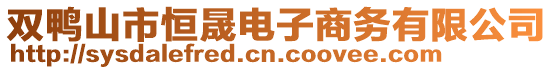 雙鴨山市恒晟電子商務(wù)有限公司