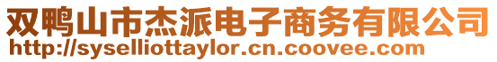 雙鴨山市杰派電子商務(wù)有限公司