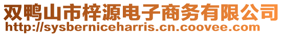 雙鴨山市梓源電子商務有限公司