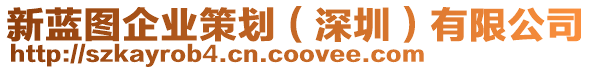 新藍(lán)圖企業(yè)策劃（深圳）有限公司