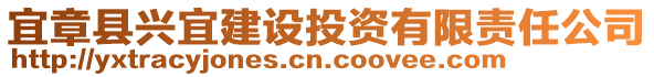 宜章縣興宜建設(shè)投資有限責(zé)任公司