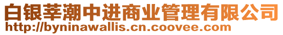 白銀莘潮中進(jìn)商業(yè)管理有限公司